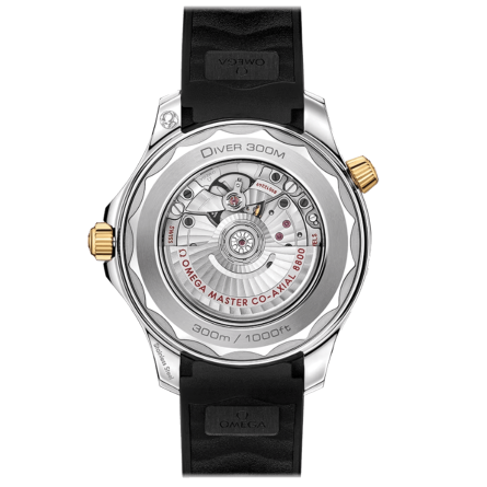 Seamaster - Master Chronometer - 42mm - Image 2